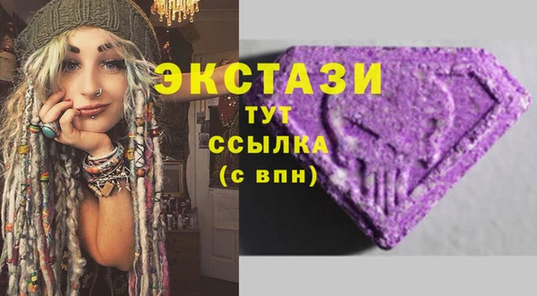 ECSTASY Бородино